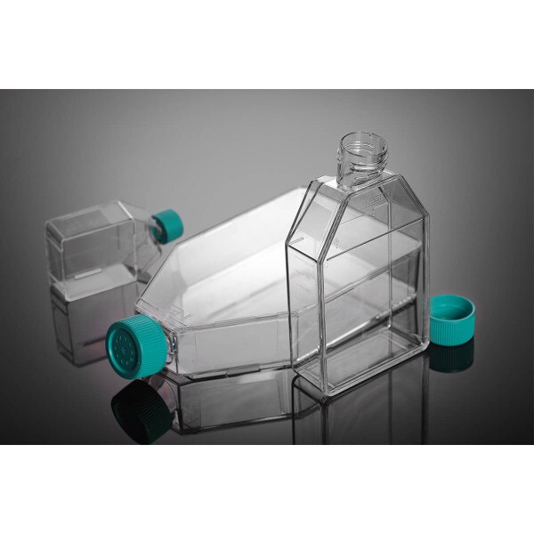 Sapphire Cell Culture Flask, group